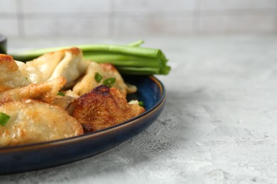 Photo of Tasty fried gyoza (dumplings) and soy sauce on light grey table, closeup. Space for text