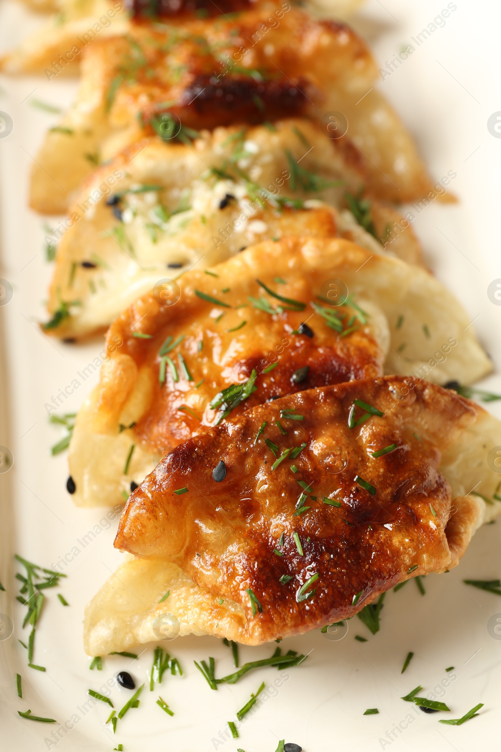 Photo of Tasty fried gyoza (dumplings) on plate, closeup