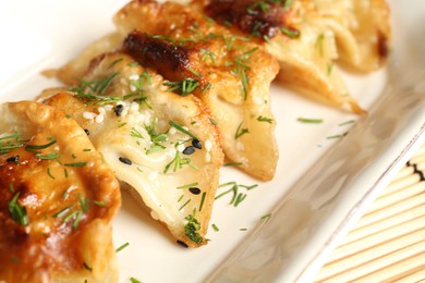 Photo of Tasty fried gyoza (dumplings) on bamboo mat, closeup