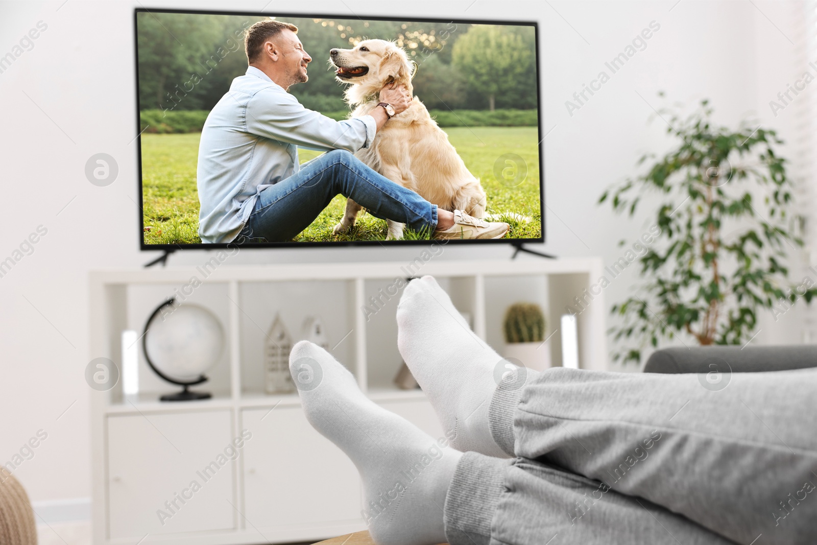 Image of Man watching movie on TV set at home