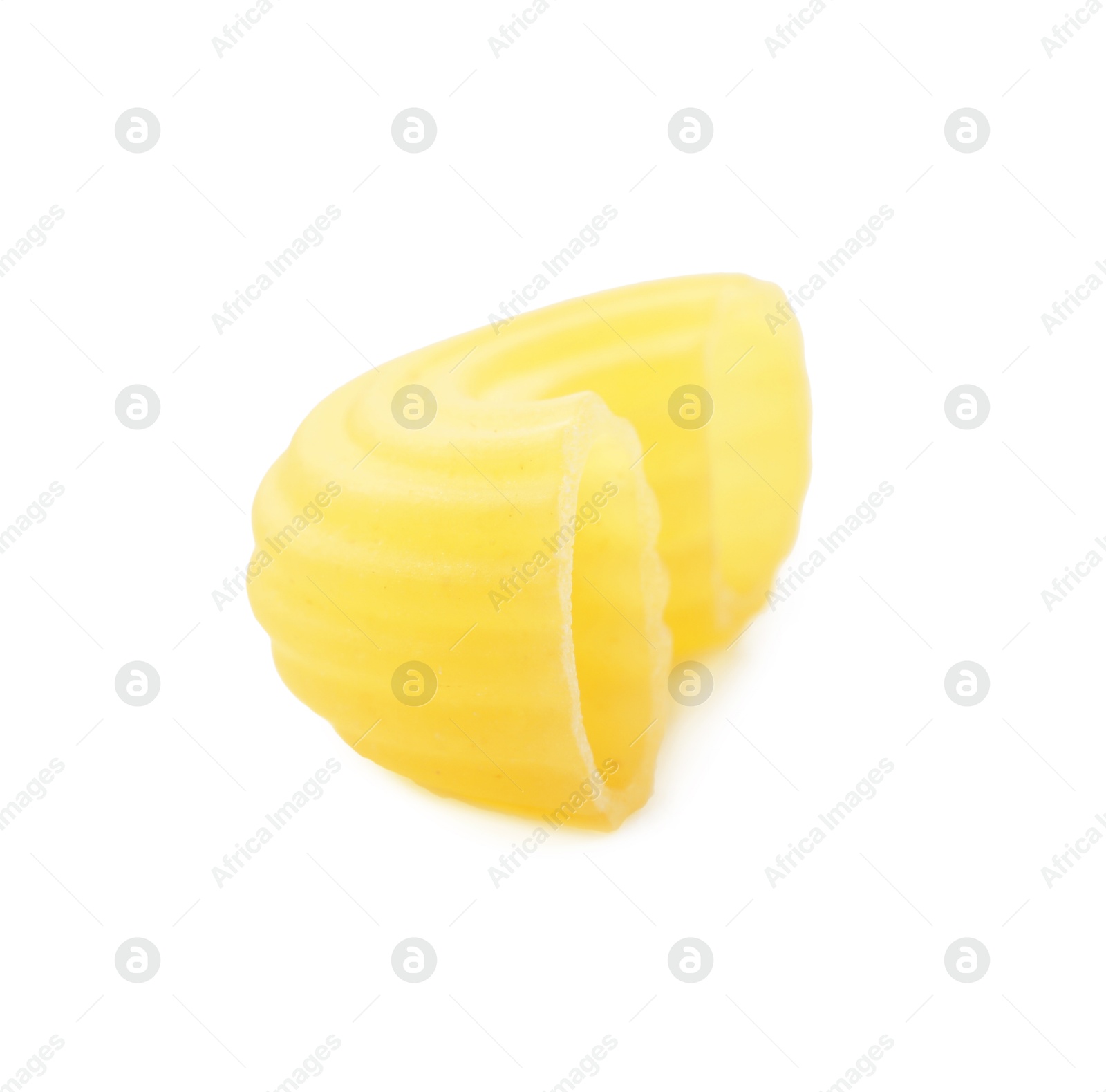 Photo of One piece of raw horns pasta isolated on white