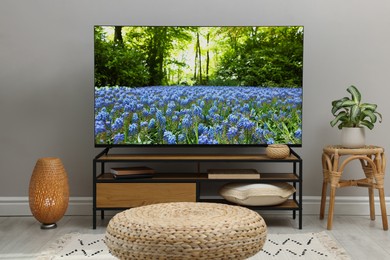 Image of TV set with nature landscape on screen in room