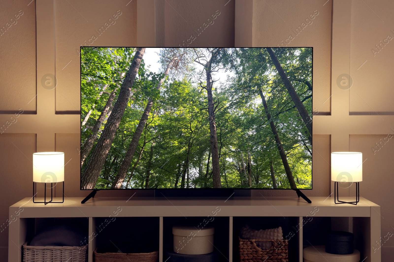 Image of TV set with nature landscape on screen in room