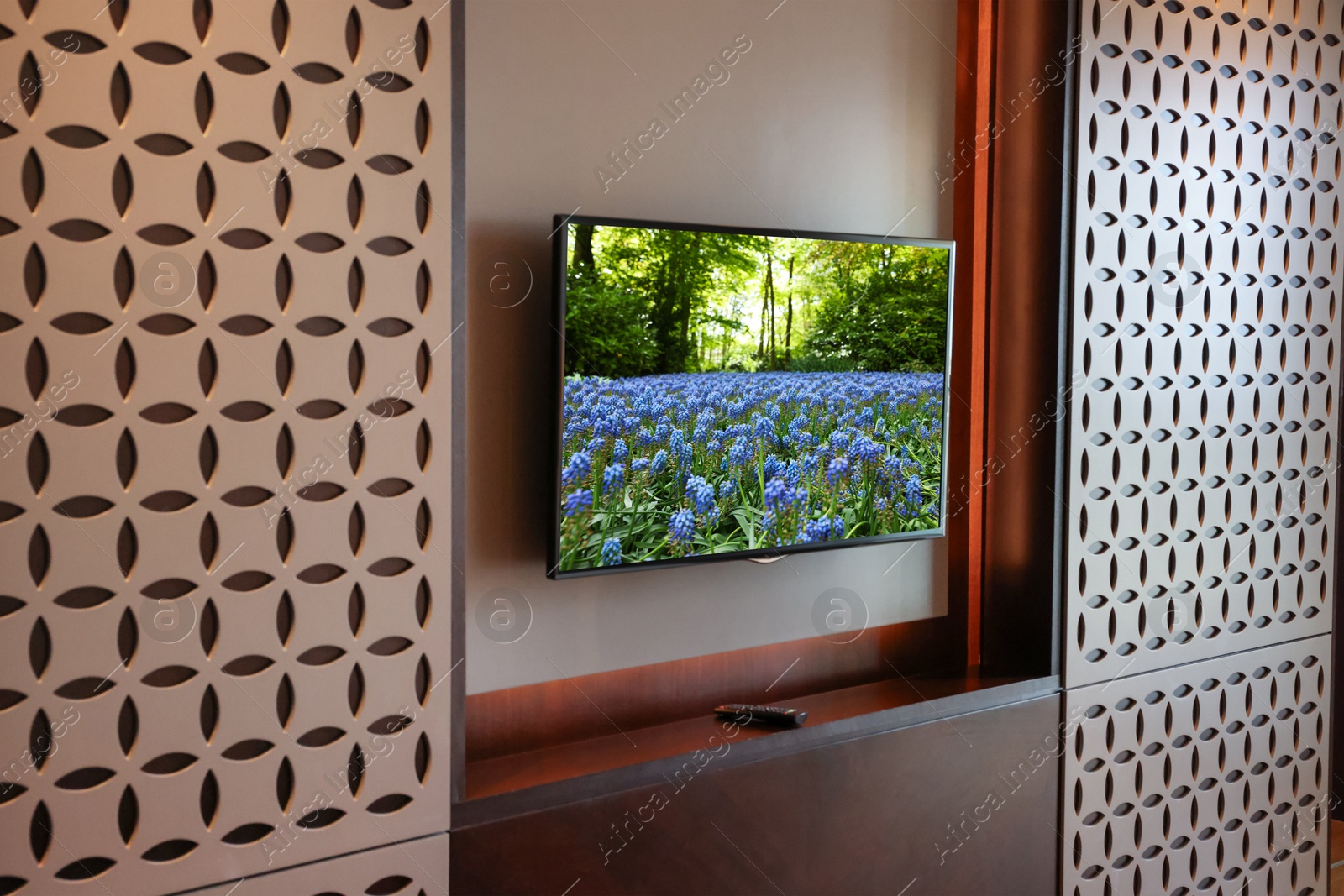 Image of TV set with nature landscape on screen in room