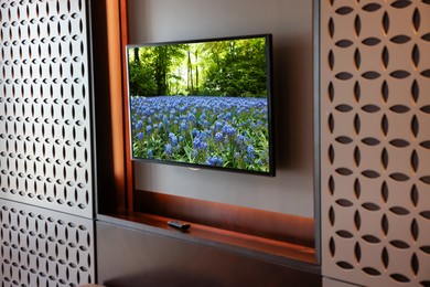 Image of TV set with nature landscape on screen in room