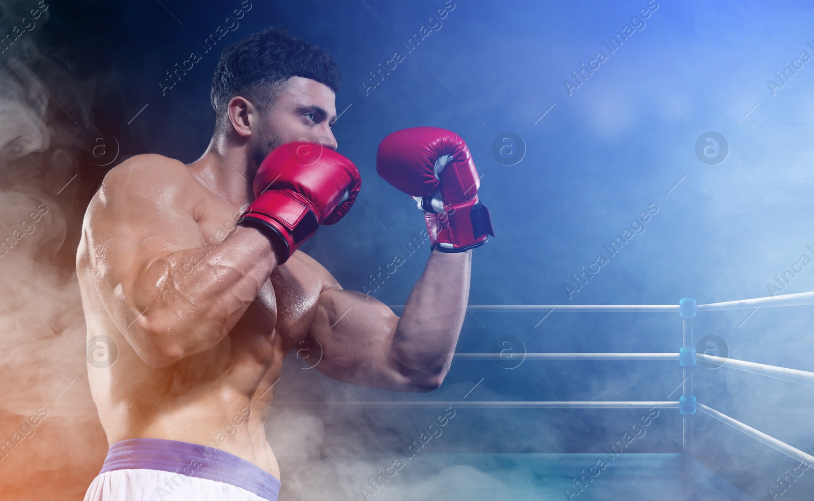 Image of Boxer training on boxing ring in color smoke. Space for text