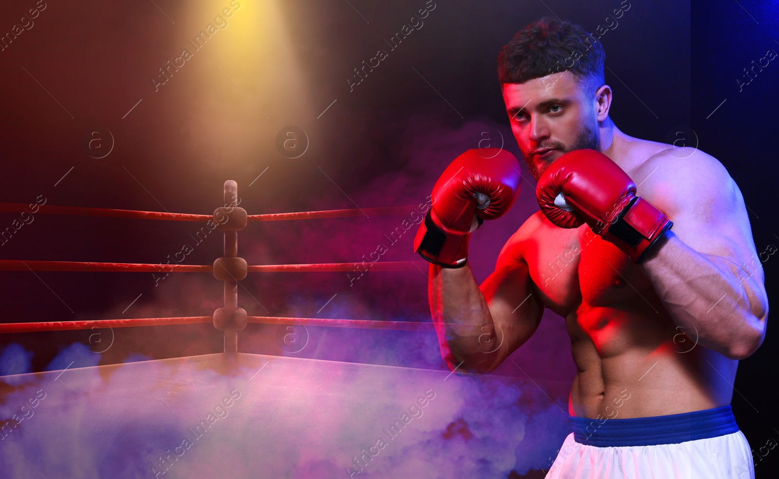 Image of Boxer training on boxing ring in color lights and smoke. Space for text