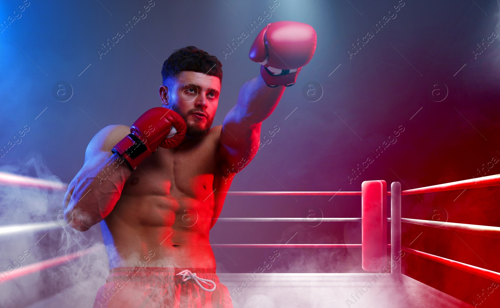 Image of Boxer training on boxing ring in color lights and smoke. Space for text