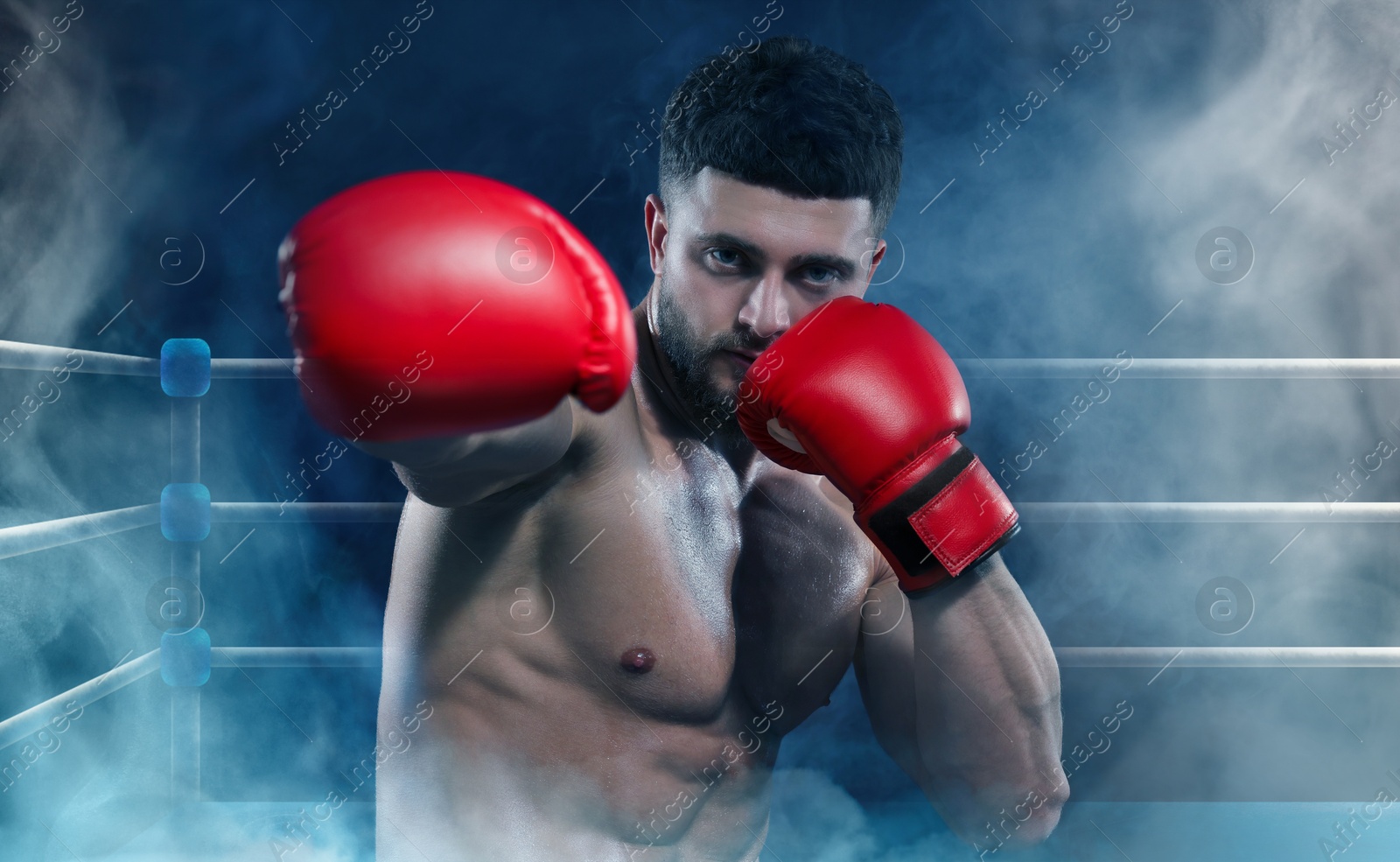 Image of Boxer training on boxing ring in color smoke