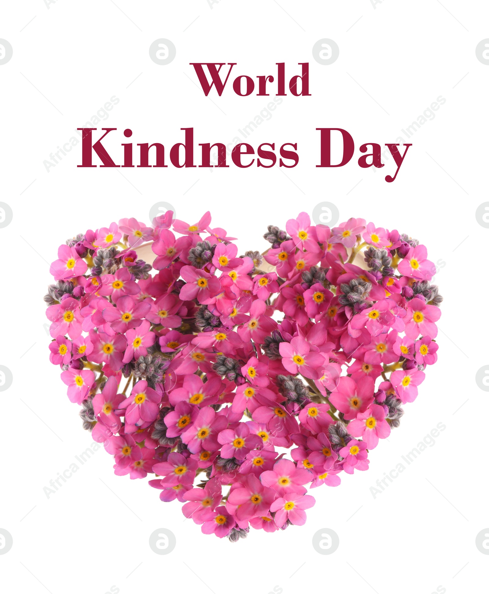 Image of World Kindness Day. Heart made with beautiful forget-me-not flowers on white background