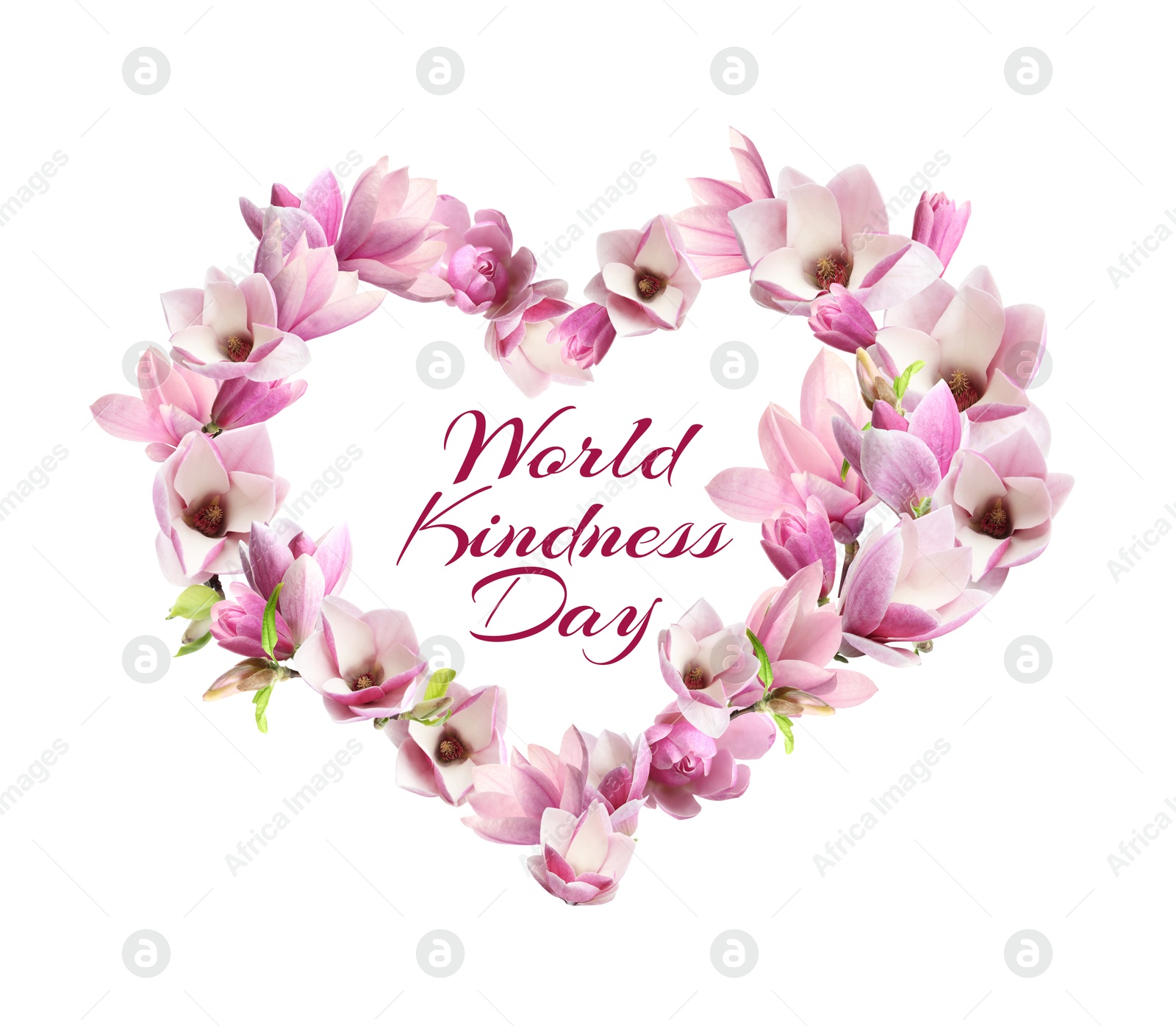 Image of World Kindness Day. Heart-shaped frame of beautiful pink flowers on white background