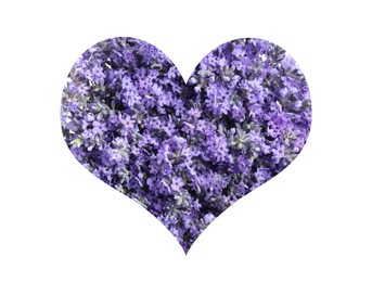 Image of Heart with lavender flowers on white background