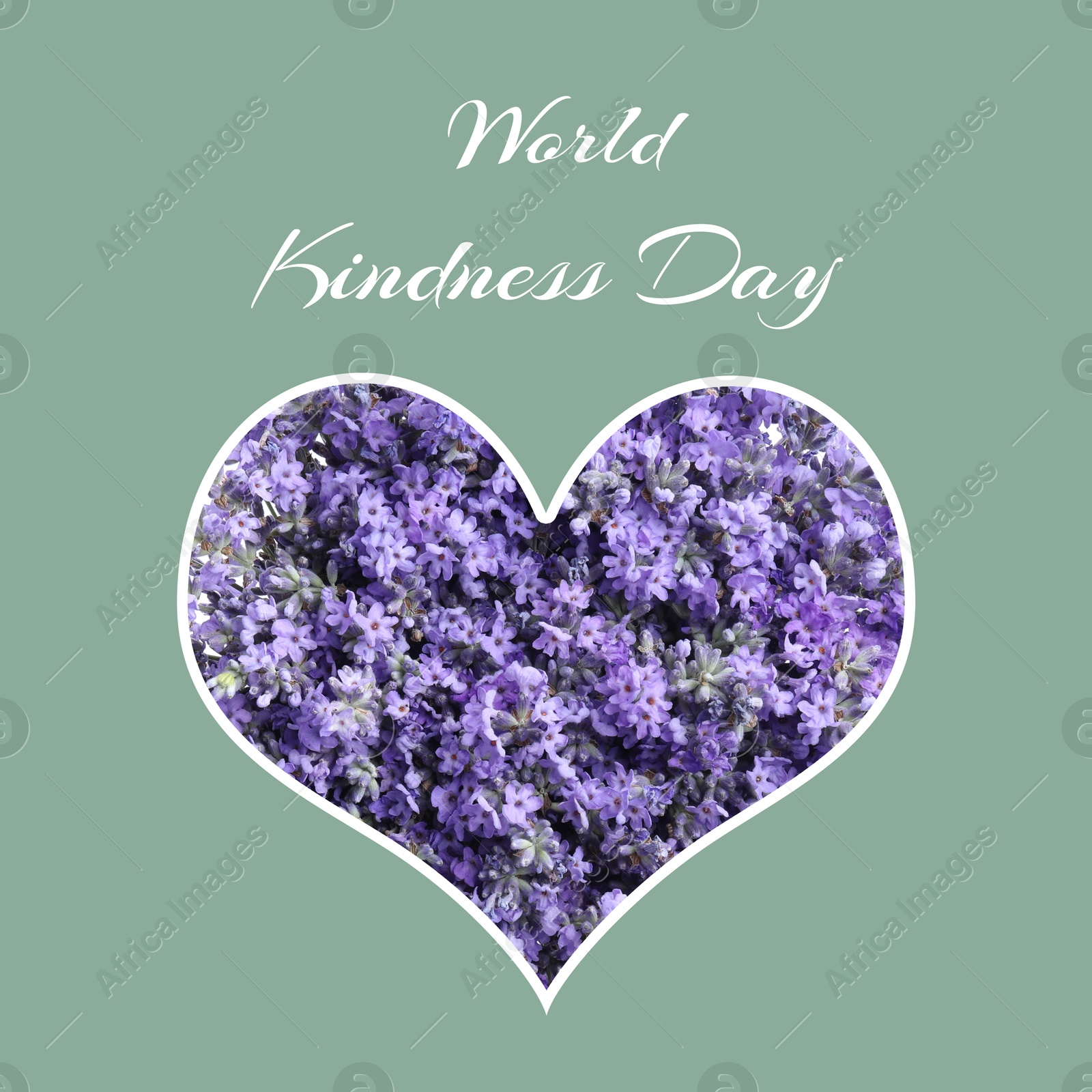 Image of World Kindness Day. Heart with lavender flowers on grey background