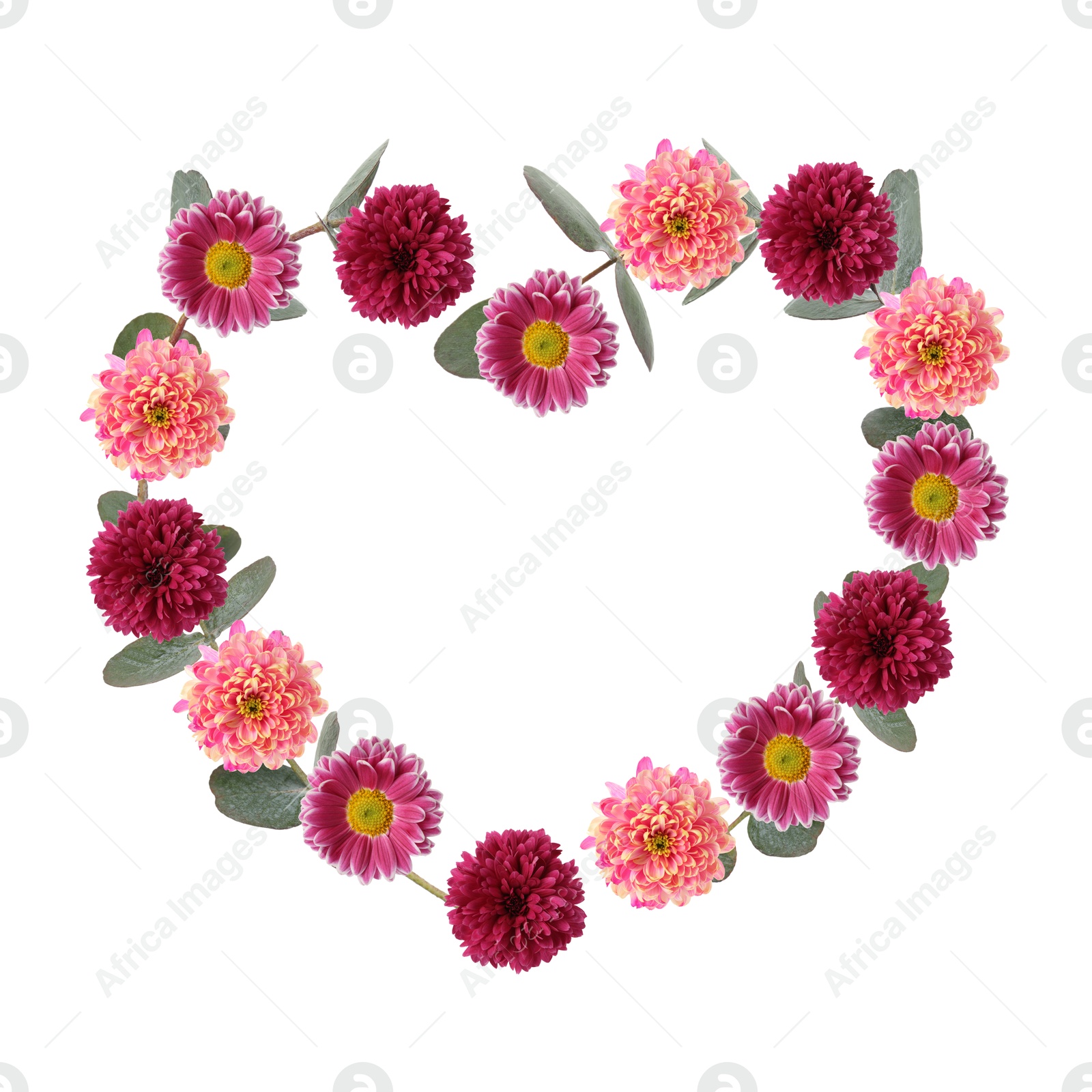 Image of Heart-shaped frame of beautiful flowers on white background