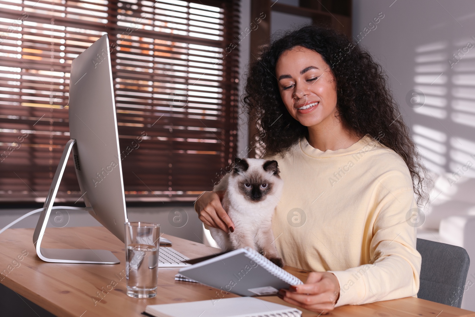 Photo of Beautiful woman with her cute cat working on computer at desk in home office