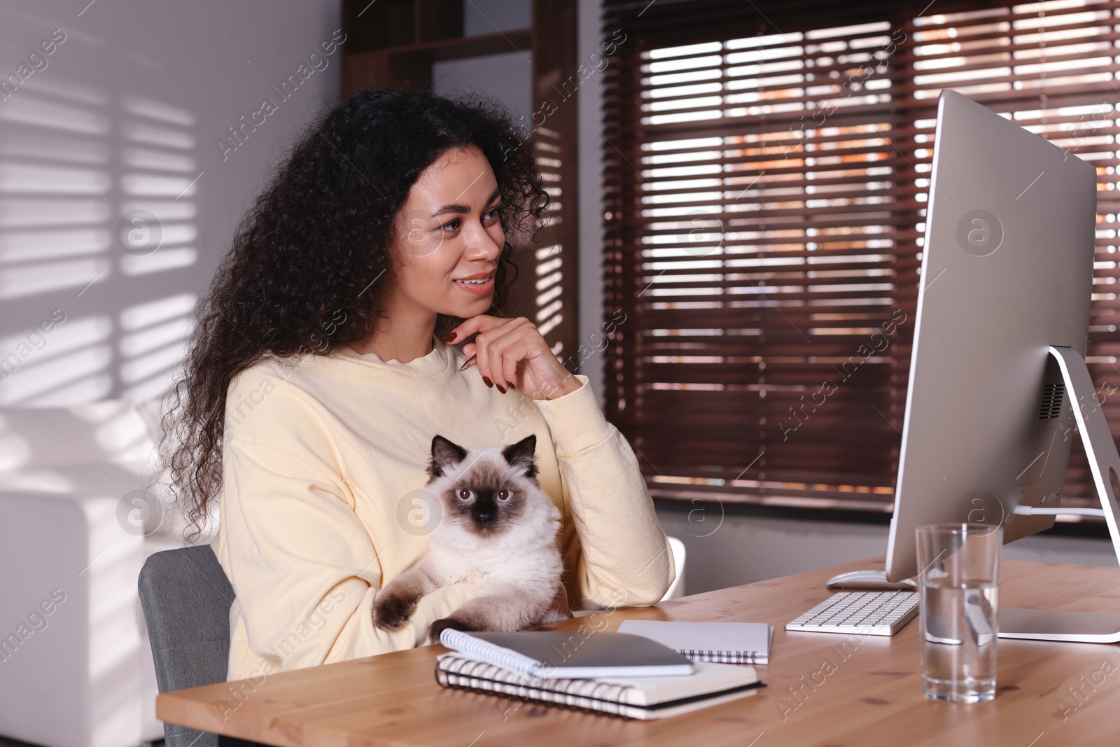 Photo of Beautiful woman with her cute cat working on computer at desk in home office