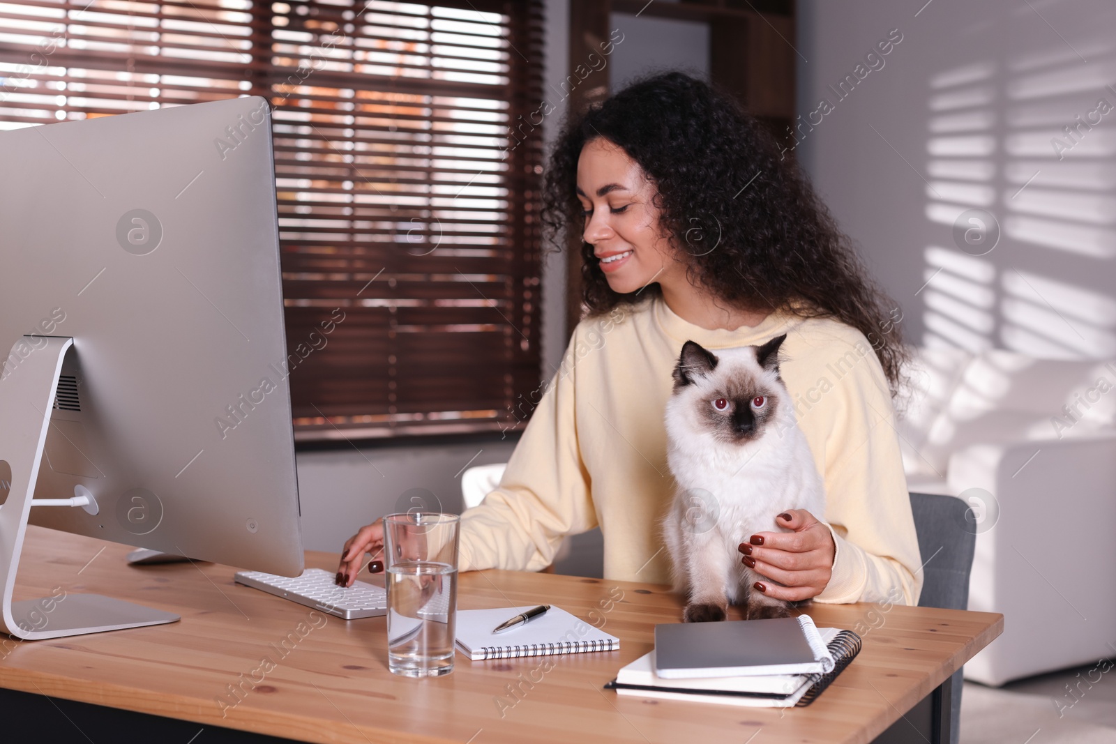 Photo of Beautiful woman with her cute cat working on computer at desk in home office