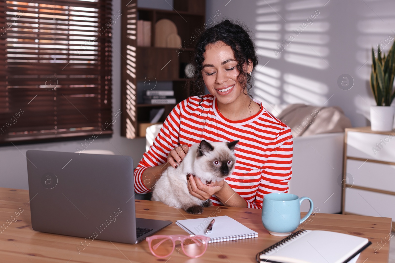 Photo of Beautiful woman with her cute cat working on laptop at desk in home office