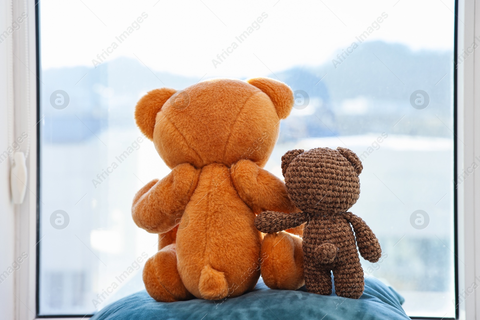 Photo of Two cute teddy bears on pillow near window indoors, back view