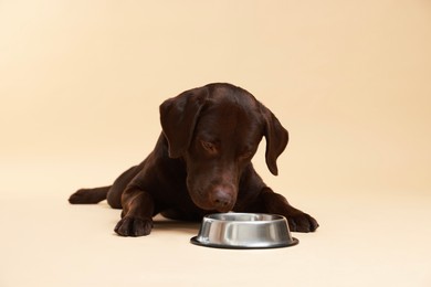 Photo of Cute dog waiting for pet food near empty bowl on beige background