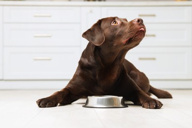 Photo of Cute dog waiting for pet food near empty bowl on floor indoors