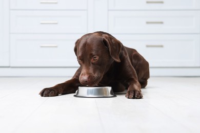 Photo of Cute dog waiting for pet food near empty bowl on floor indoors