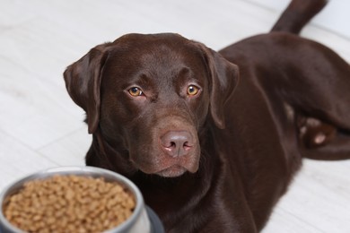 Photo of Woman giving bowl with dry pet food to her dog indoors, closeup