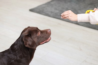 Photo of Woman with feeding bowl giving dry pet food to her dog indoors, closeup