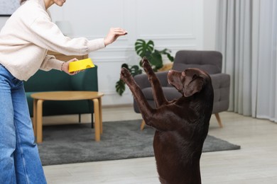 Photo of Woman with feeding bowl giving dry pet food to her dog indoors, closeup