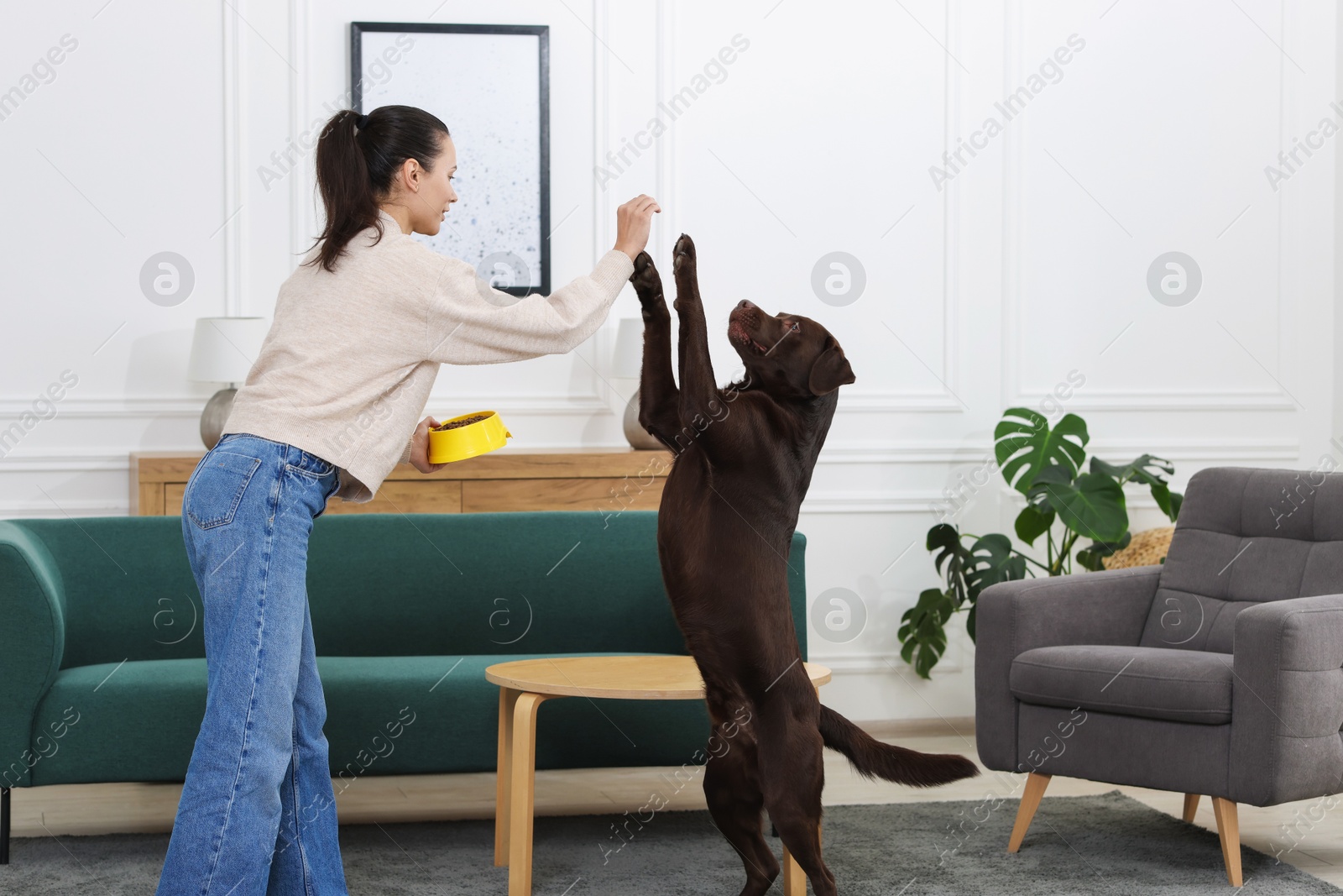 Photo of Woman with feeding bowl giving dry pet food to her dog indoors