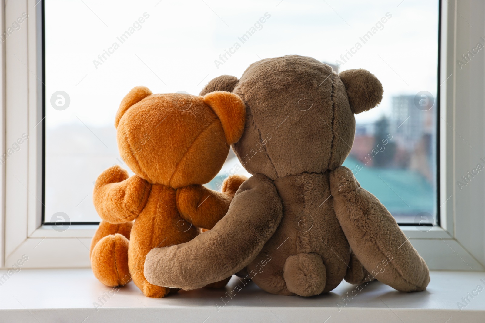 Photo of Two cute teddy bears near window indoors, back view