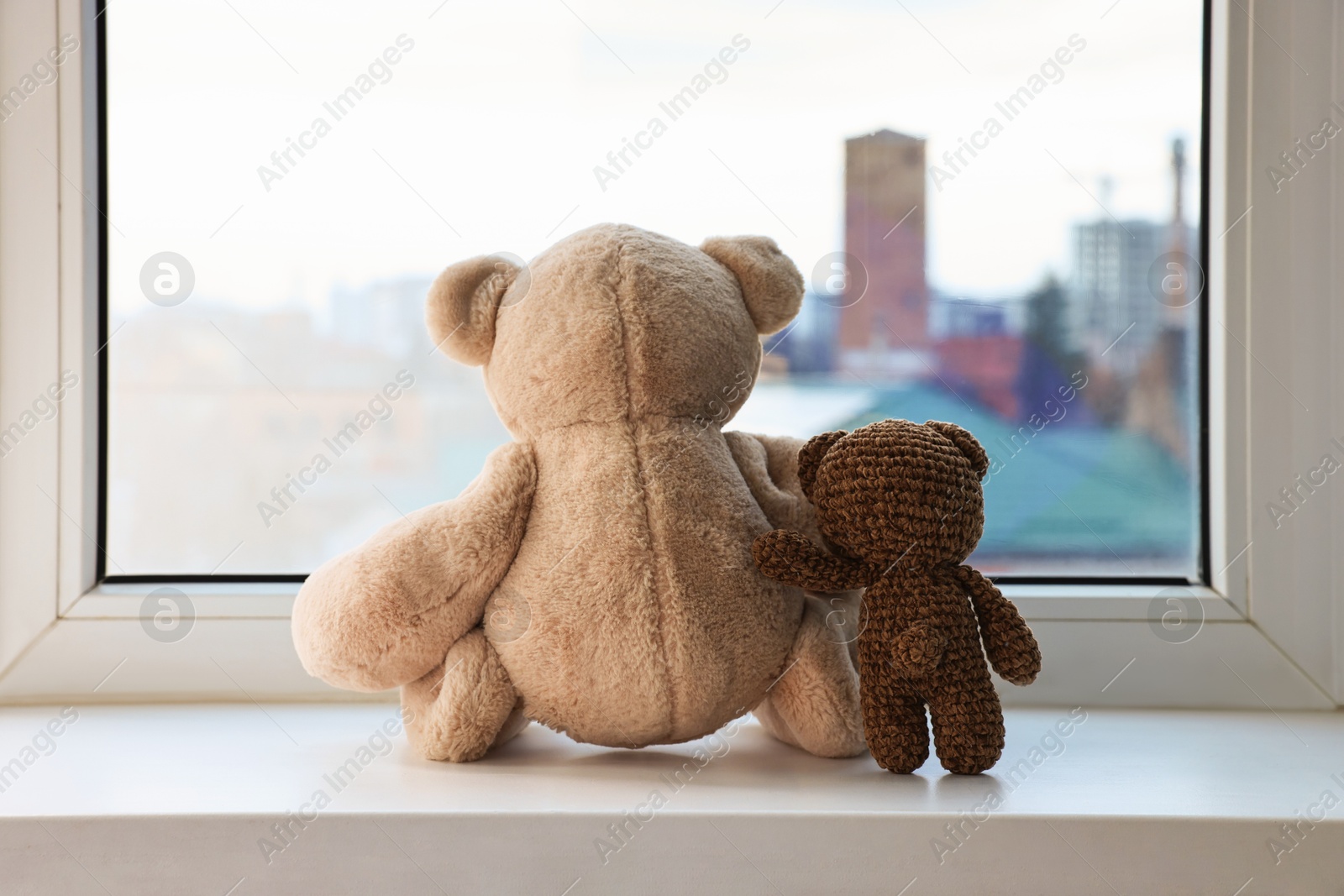 Photo of Two cute teddy bears near window indoors, back view