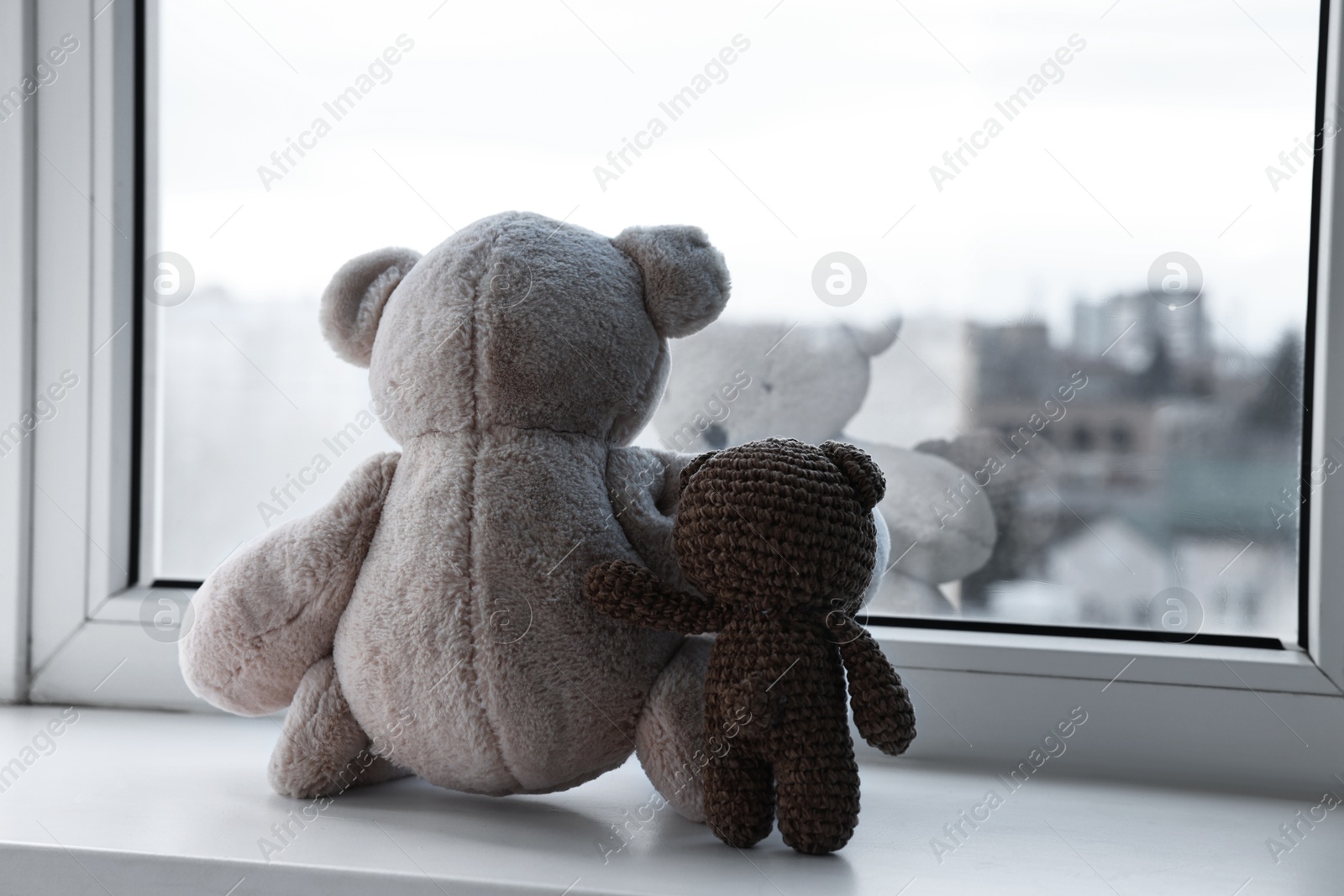 Photo of Two cute teddy bears near window indoors, back view