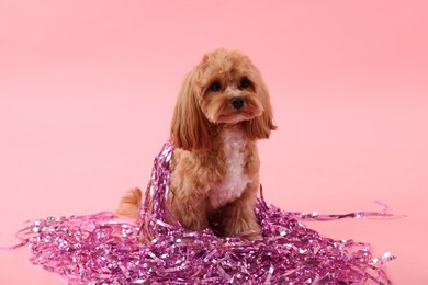 Photo of Cute dog with pile of shiny tinsels on pink background