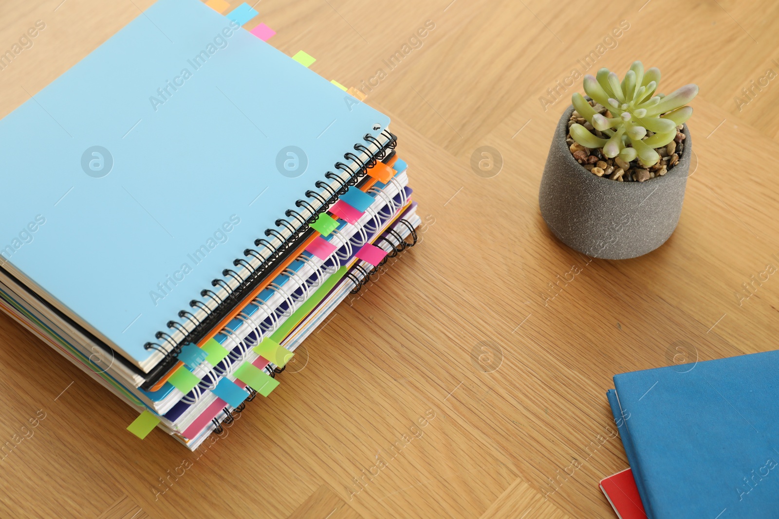 Photo of Stack of notebooks with colorful bookmarks and houseplant on wooden table, above view