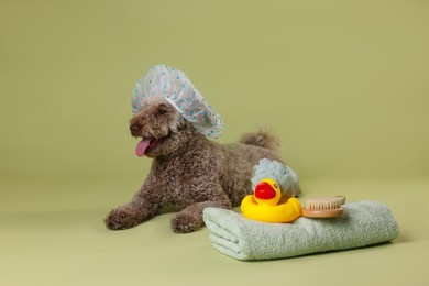 Photo of Cute dog with shower cap and other bath accessories on pale olive background