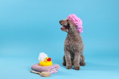 Photo of Cute dog with shower cap and other bath accessories on light blue background