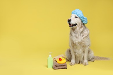 Photo of Cute dog with shower cap and other bath accessories on yellow background. Space for text