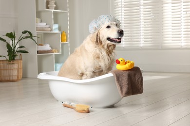 Photo of Cute dog with shower cap in small bathtub and bath accessories at home