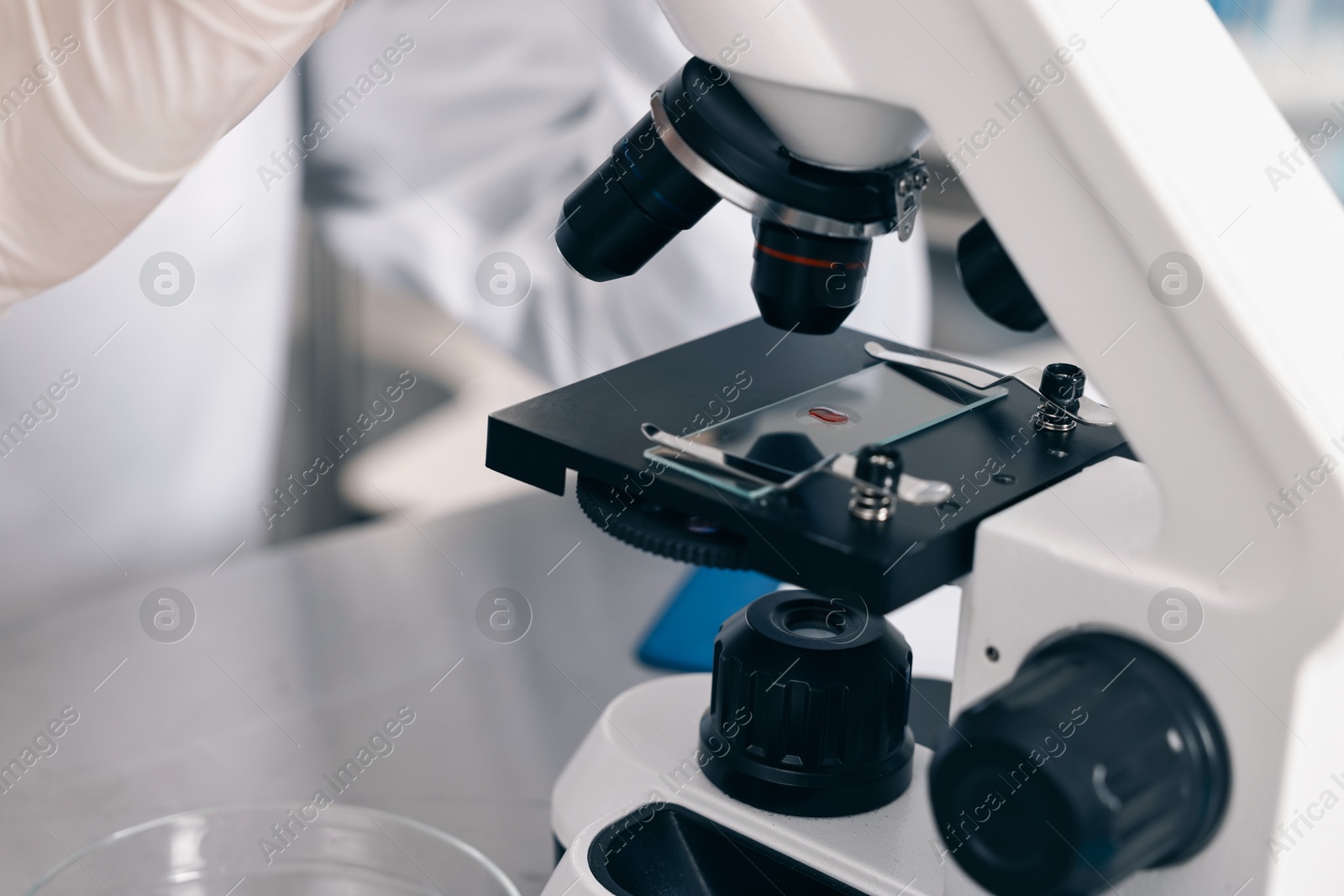 Photo of Scientist working with microscope in laboratory, closeup