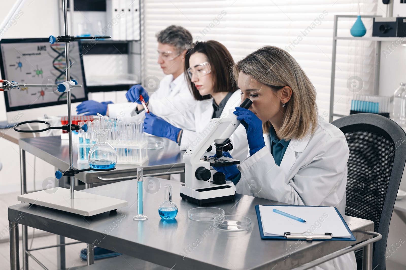 Photo of Scientists working with samples at table in laboratory