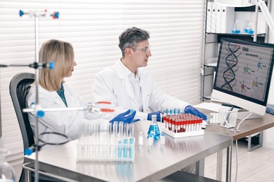 Scientists working with computer and samples at table in laboratory