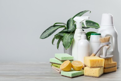 Photo of Eco-friendly cleaning products, supplies and green houseplant on wooden table, space for text