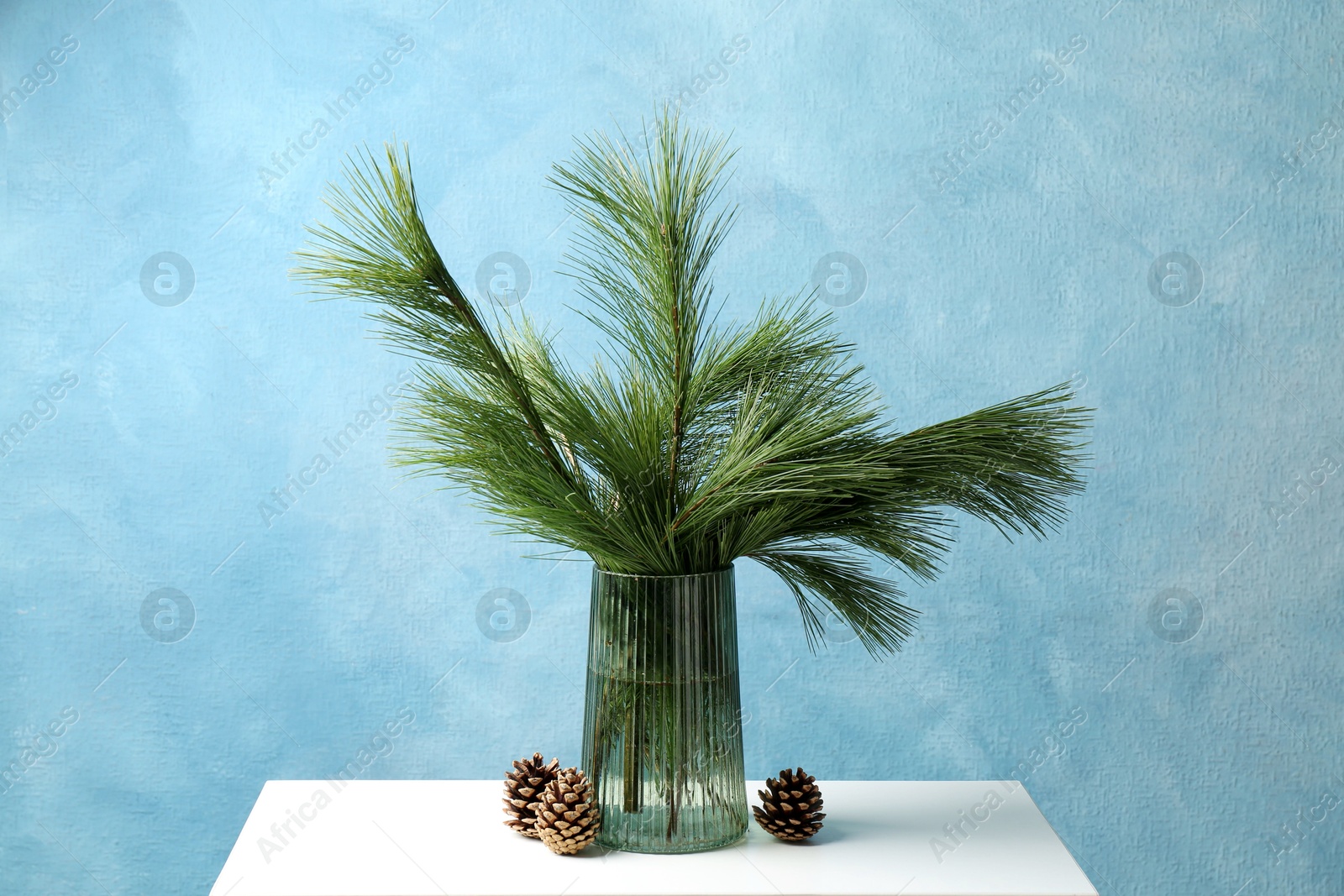 Photo of Beautiful pine tree branches and cones on table near blue wall. Christmas decor