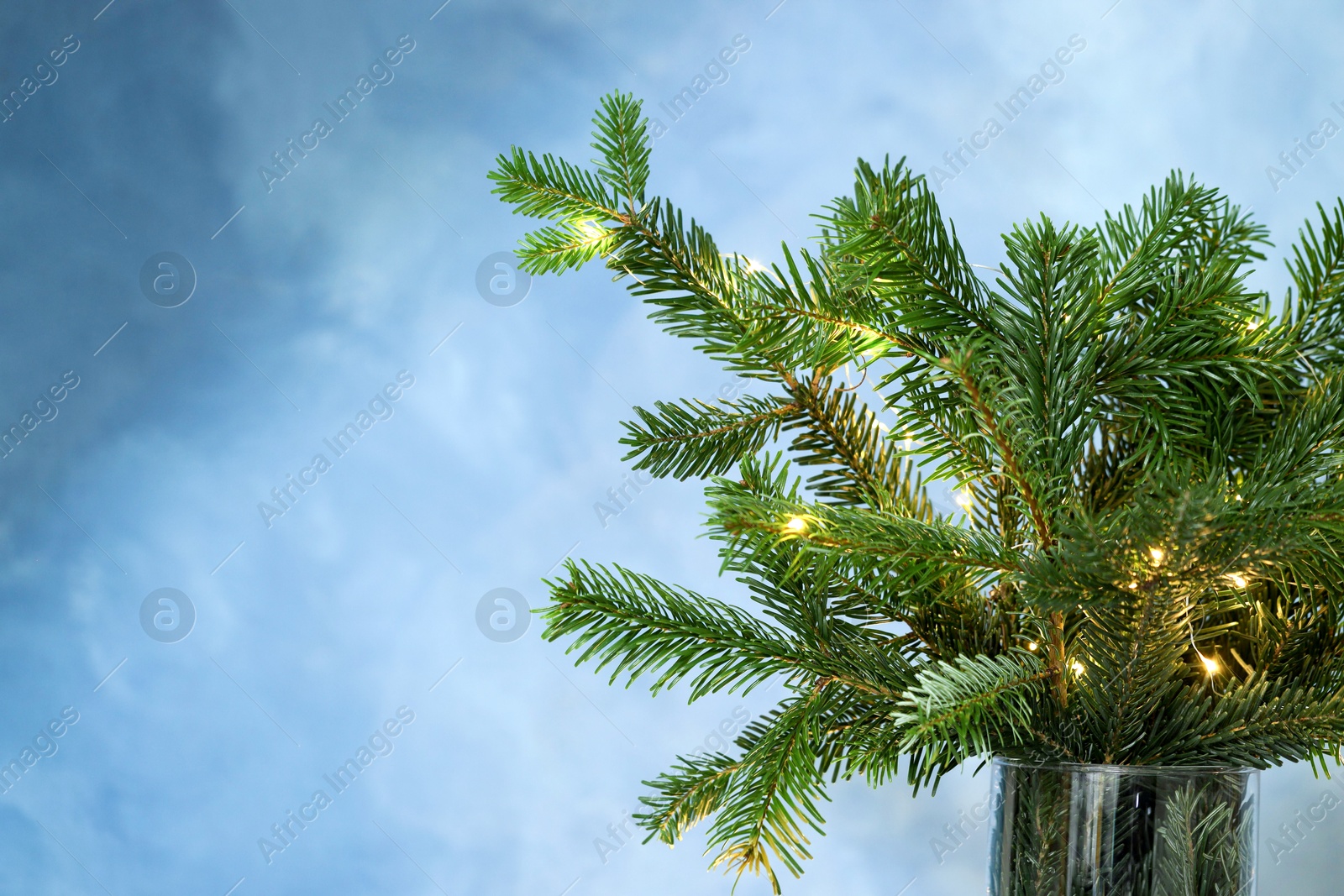 Photo of Beautiful fir tree branches decorated with Christmas lights on blue background, closeup. Space for text