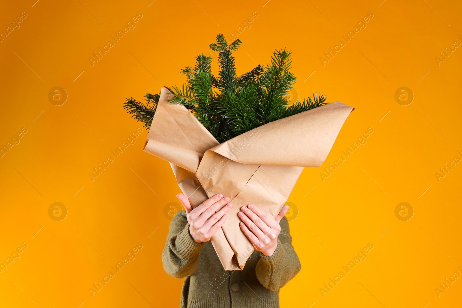 Photo of Woman with bouquet of fir branches on orange background. Christmas decor