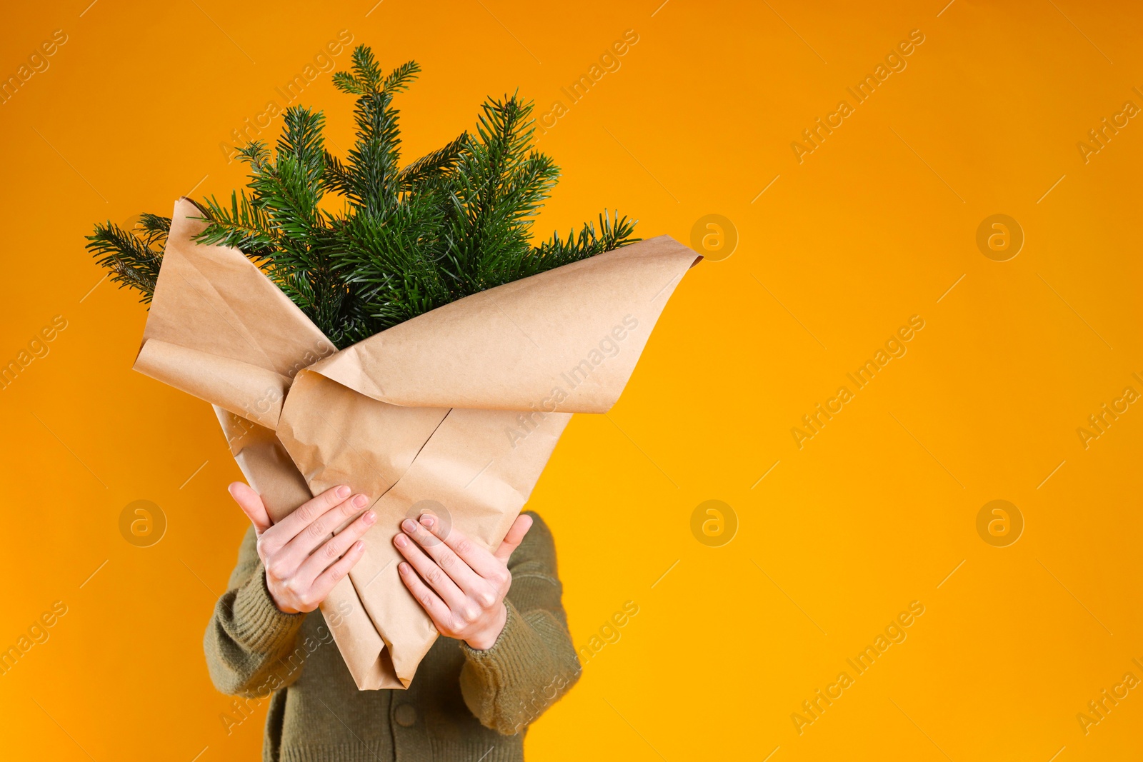 Photo of Woman with bouquet of fir branches on orange background, space for text. Christmas decor