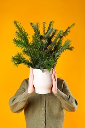 Photo of Woman with bouquet of fir branches on orange background. Christmas decor