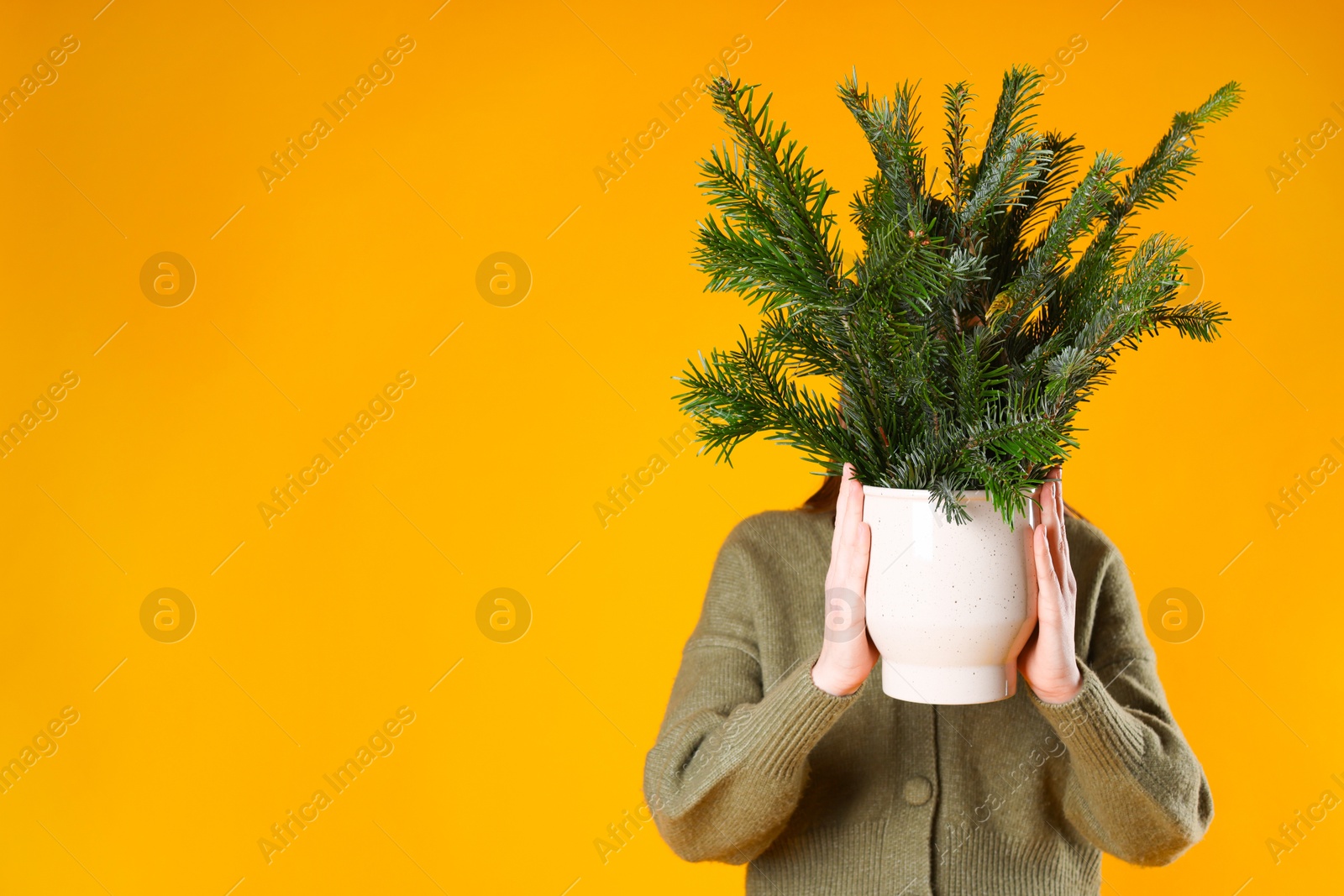 Photo of Woman with bouquet of fir branches on orange background, space for text. Christmas decor