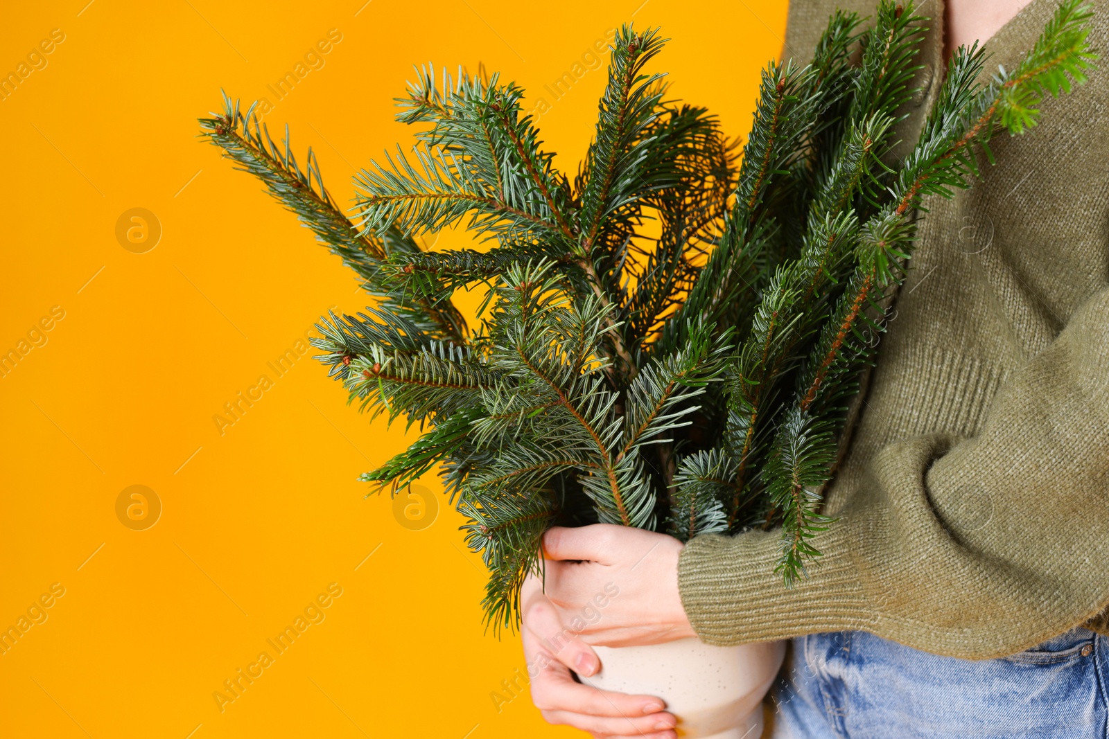 Photo of Woman with bouquet of fir branches on orange background, closeup. Christmas decor